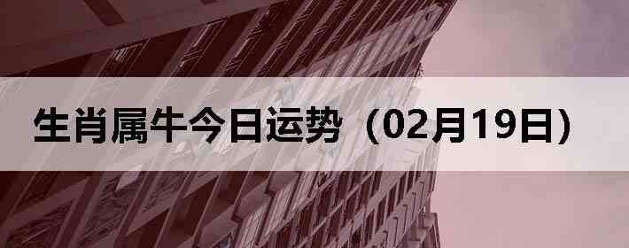 ��Ф��ţ�������ƣ�02��19�գ�