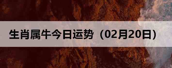 ��Ф��ţ�������ƣ�02��20�գ�