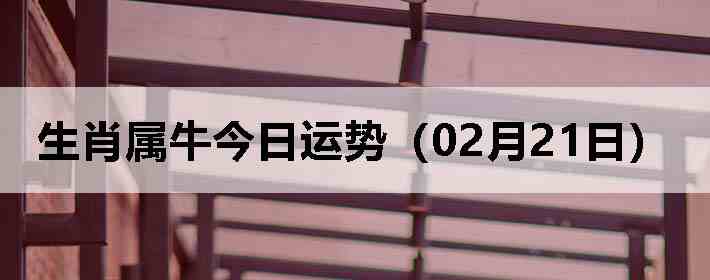 ��Ф��ţ�������ƣ�02��21�գ�