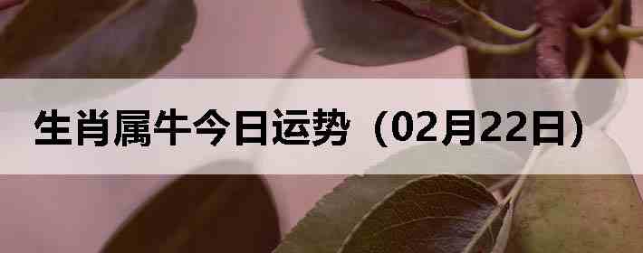 ��Ф��ţ�������ƣ�02��22�գ�