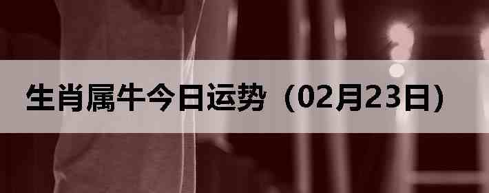 ��Ф��ţ�������ƣ�02��23�գ�