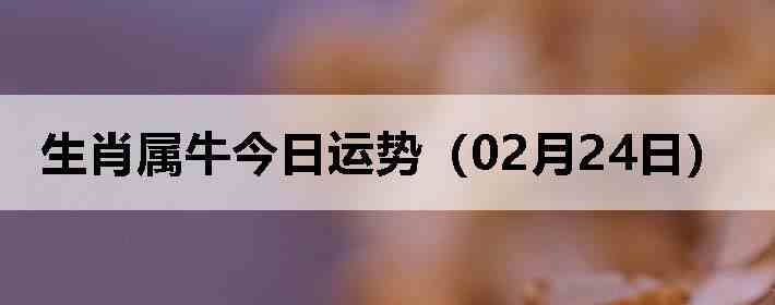 ��Ф��ţ�������ƣ�02��24�գ�