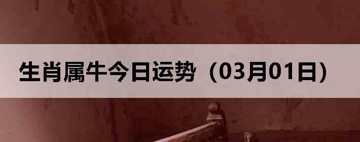 ��Ф��ţ�������ƣ�03��01�գ�