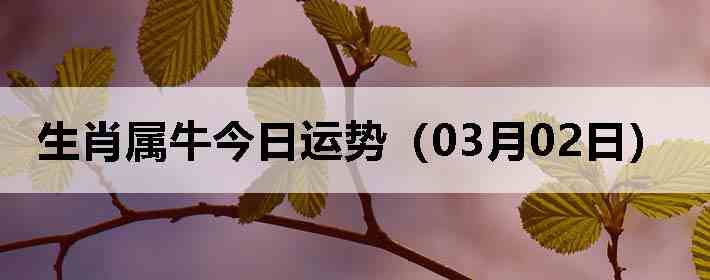 ��Ф��ţ�������ƣ�03��02�գ�