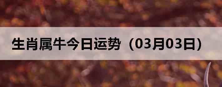 ��Ф��ţ�������ƣ�03��03�գ�