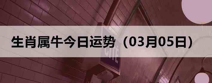 ��Ф��ţ�������ƣ�03��05�գ�