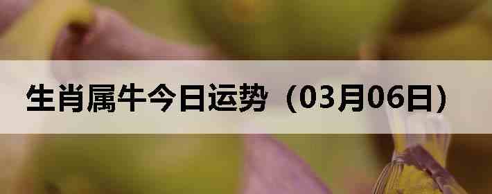 ��Ф��ţ�������ƣ�03��06�գ�