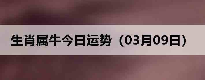 ��Ф��ţ�������ƣ�03��09�գ�