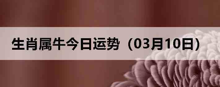 ��Ф��ţ�������ƣ�03��10�գ�