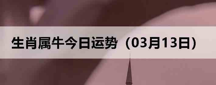 ��Ф��ţ�������ƣ�03��13�գ�