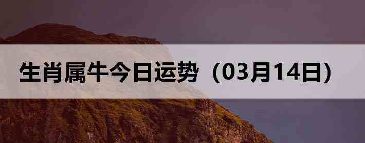 ��Ф��ţ�������ƣ�03��14�գ�