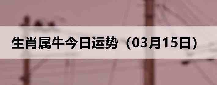 ��Ф��ţ�������ƣ�03��15�գ�