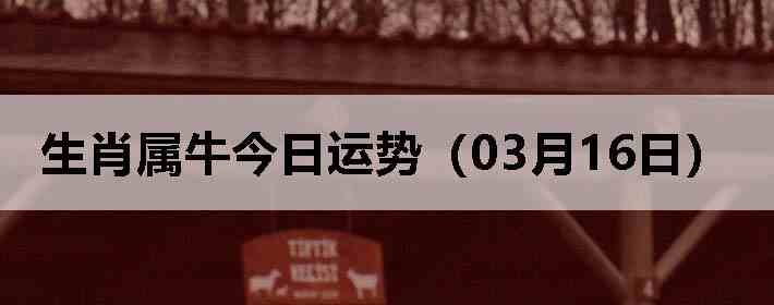 ��Ф��ţ�������ƣ�03��16�գ�