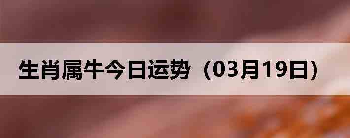 ��Ф��ţ�������ƣ�03��19�գ�