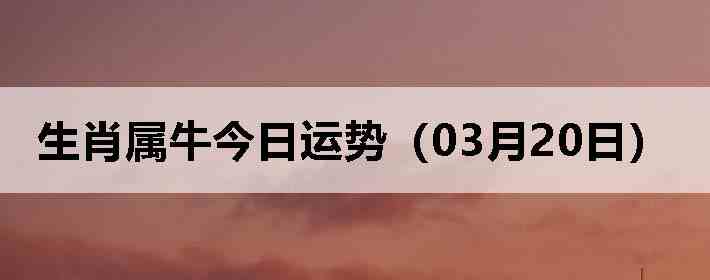 ��Ф��ţ�������ƣ�03��20�գ�