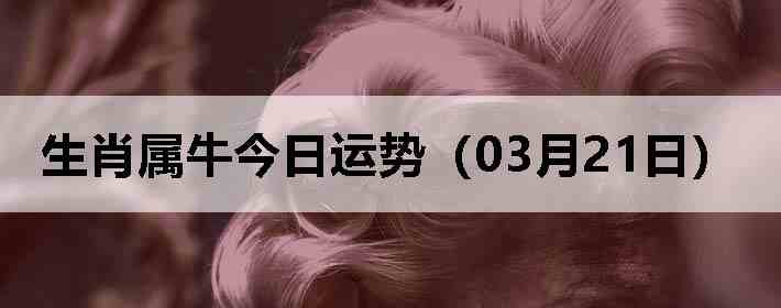 ��Ф��ţ�������ƣ�03��21�գ�