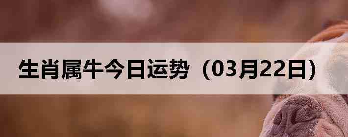 ��Ф��ţ�������ƣ�03��22�գ�