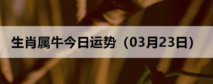 ��Ф��ţ�������ƣ�03��23�գ�