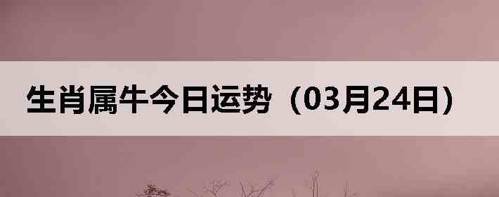 ��Ф��ţ�������ƣ�03��24�գ�