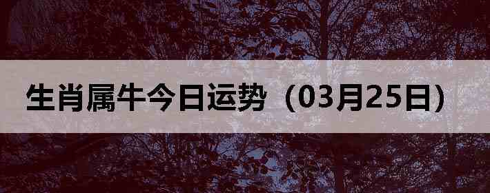 ��Ф��ţ�������ƣ�03��25�գ�