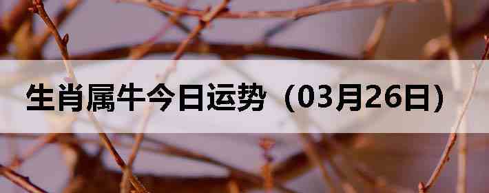 ��Ф��ţ�������ƣ�03��26�գ�