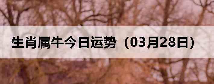 ��Ф��ţ�������ƣ�03��28�գ�