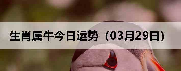 ��Ф��ţ�������ƣ�03��29�գ�