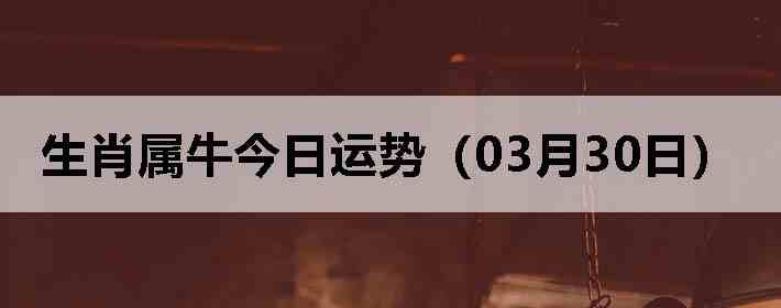 ��Ф��ţ�������ƣ�03��30�գ�