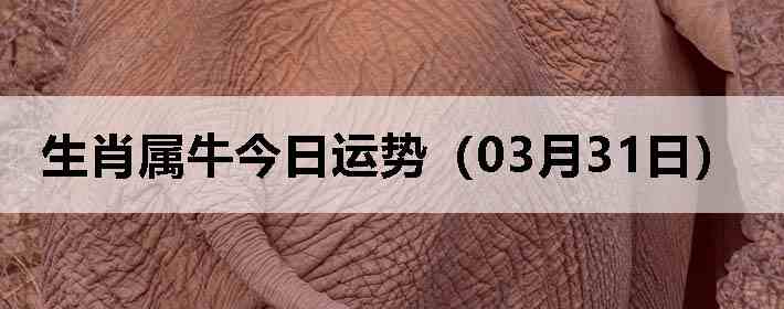 ��Ф��ţ�������ƣ�03��31�գ�