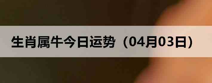 ��Ф��ţ�������ƣ�04��03�գ�