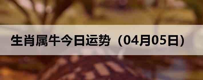 ��Ф��ţ�������ƣ�04��05�գ�