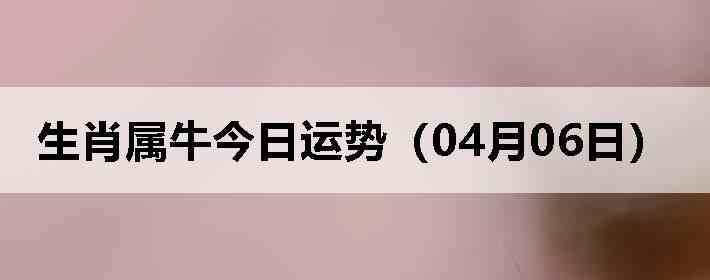 ��Ф��ţ�������ƣ�04��06�գ�