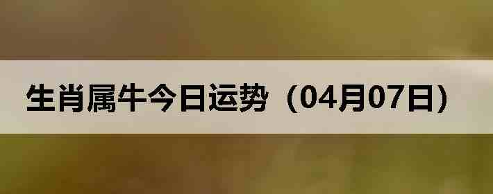 ��Ф��ţ�������ƣ�04��07�գ�