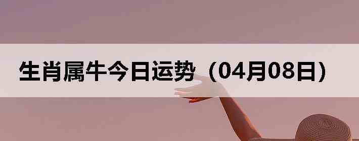 ��Ф��ţ�������ƣ�04��08�գ�