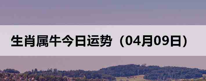 ��Ф��ţ�������ƣ�04��09�գ�