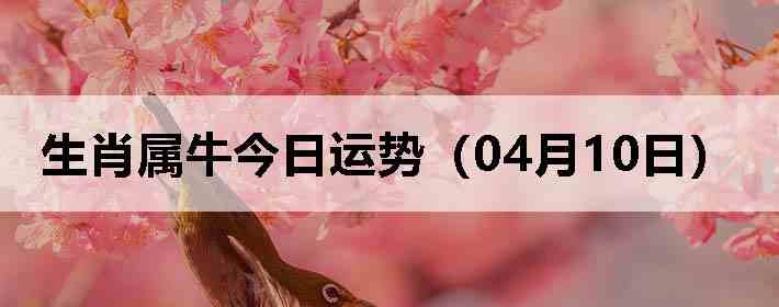 ��Ф��ţ�������ƣ�04��10�գ�