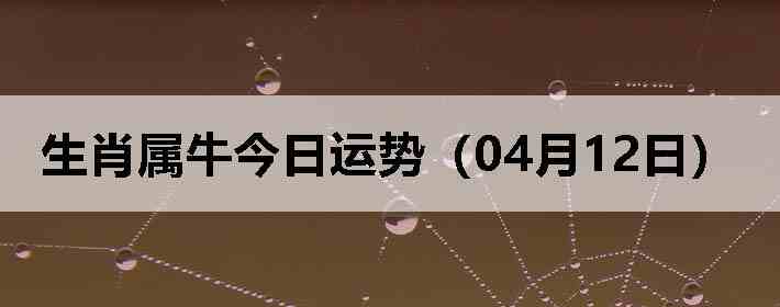 ��Ф��ţ�������ƣ�04��12�գ�