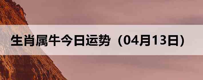 ��Ф��ţ�������ƣ�04��13�գ�