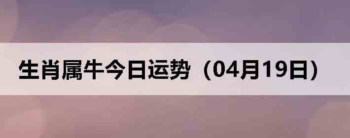��Ф��ţ�������ƣ�04��19�գ�