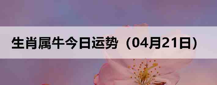 ��Ф��ţ�������ƣ�04��21�գ�