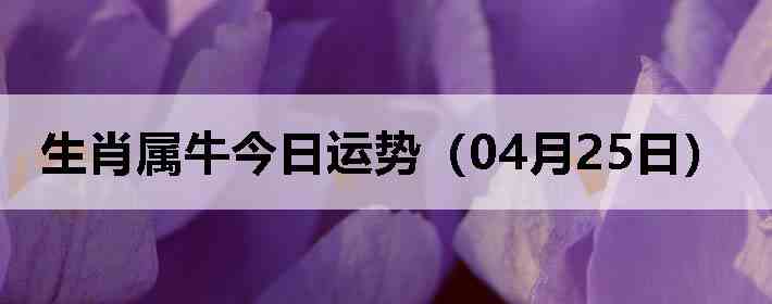 ��Ф��ţ�������ƣ�04��25�գ�