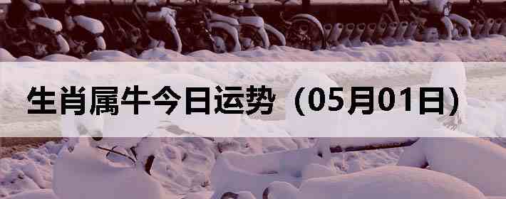 ��Ф��ţ�������ƣ�05��01�գ�