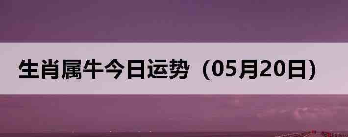 ��Ф��ţ�������ƣ�05��20�գ�