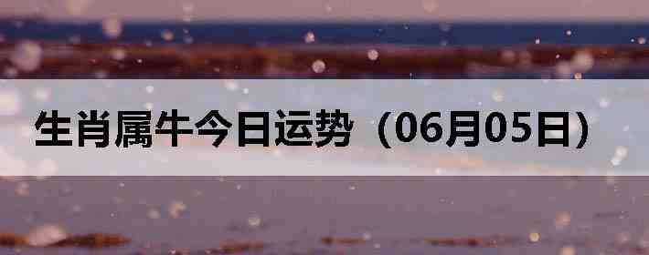 ��Ф��ţ�������ƣ�06��05�գ�