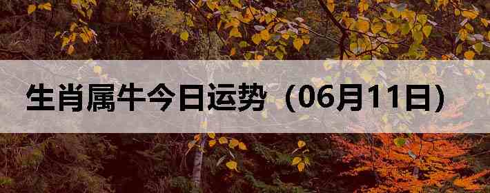 ��Ф��ţ�������ƣ�06��11�գ�