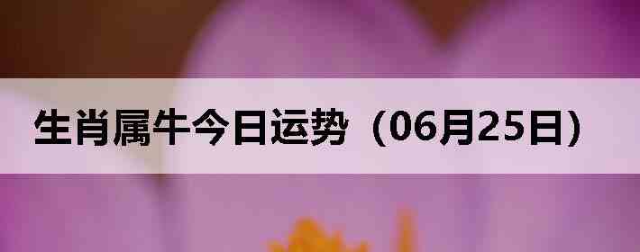 ��Ф��ţ�������ƣ�06��25�գ�