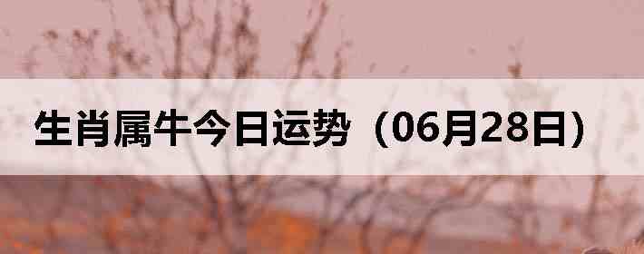 ��Ф��ţ�������ƣ�06��28�գ�