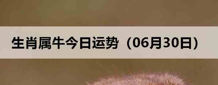 ��Ф��ţ�������ƣ�06��30�գ�