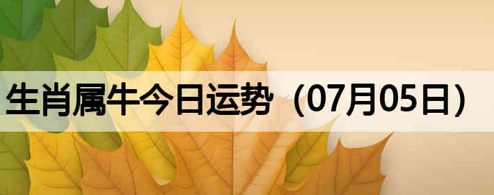 ��Ф��ţ�������ƣ�07��05�գ�