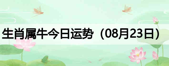 ��Ф��ţ�������ƣ�08��23�գ�